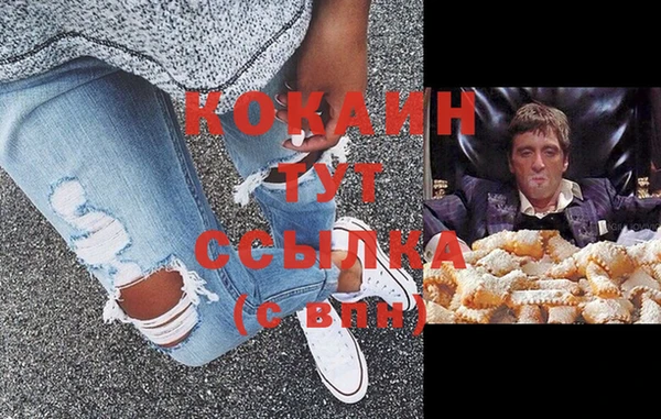 прущие грибы Новокубанск