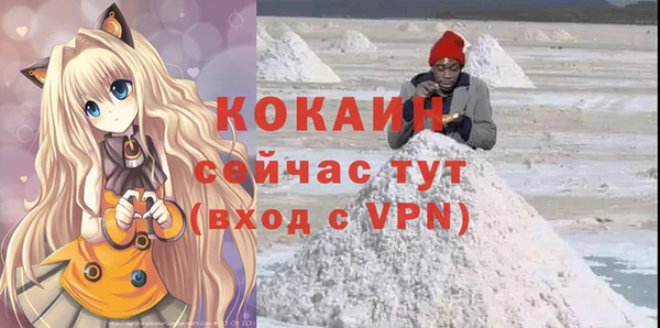 тгк Алексин