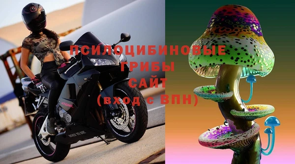 гашик Алзамай