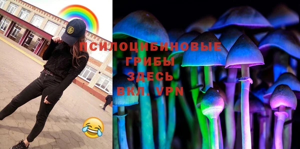 тгк Алексин