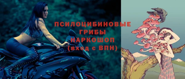 тгк Алексин