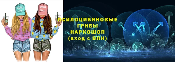 гашик Алзамай
