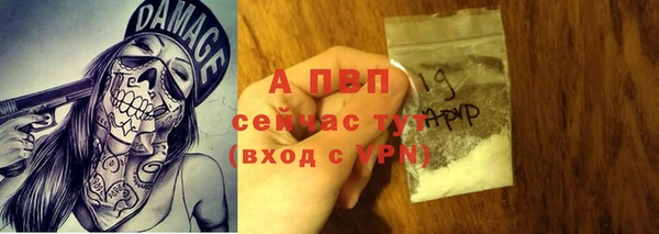 тгк Алексин