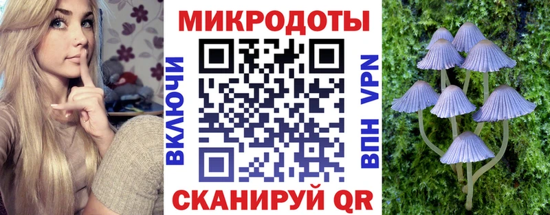 Псилоцибиновые грибы MAGIC MUSHROOMS  нарко площадка как зайти  Южно-Сухокумск 